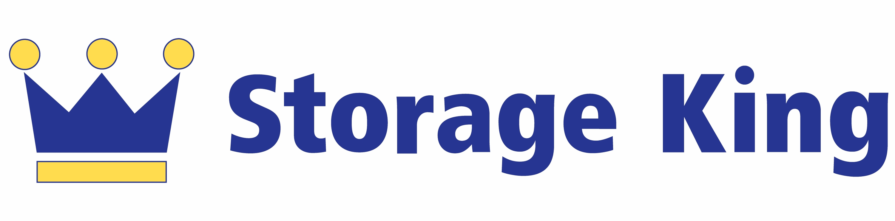 New Storage King_Horizontal_Logo.jpg